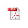 pdf icon